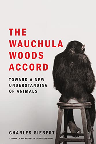 Imagen de archivo de The Wauchula Woods Accord: Toward a New Understanding of Animals a la venta por KuleliBooks