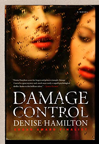 Beispielbild fr Damage Control: A Novel zum Verkauf von More Than Words