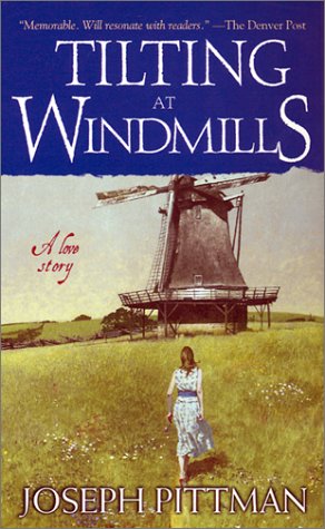 Beispielbild fr Tilting at Windmills zum Verkauf von Wonder Book