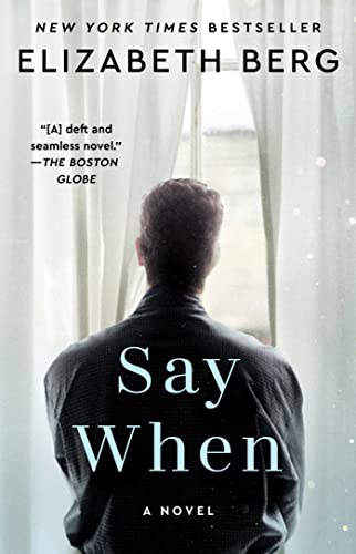 9780743411370: Say When: A Novel