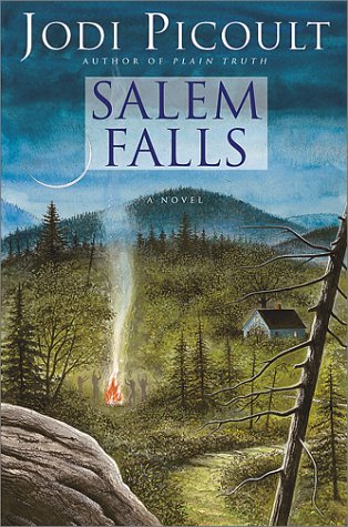Stock image for Salem Falls for sale by Irish Booksellers
