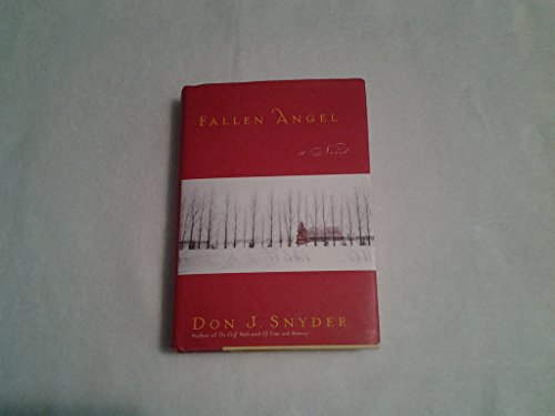9780743422314: Fallen Angel: A Novel