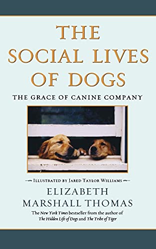 Stock image for The Social Lives of Dogs: The Grace of Canine Company for sale by Gulf Coast Books