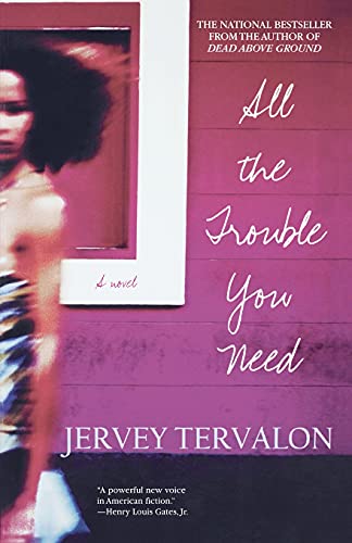 9780743422390: All the Trouble You Need: A Novel