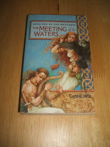 Imagen de archivo de The Meeting of the Waters a la venta por HPB-Ruby