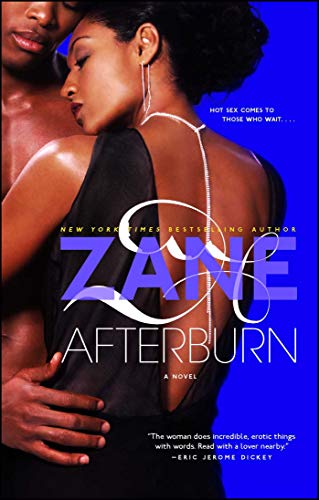 9780743470988: Afterburn: A Novel