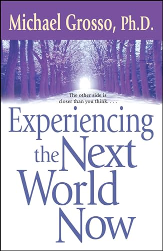 Beispielbild fr Experiencing the Next World Now zum Verkauf von Better World Books