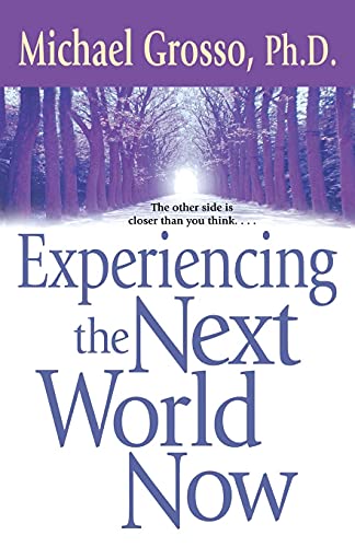 Imagen de archivo de Experiencing the Next World Now a la venta por WorldofBooks