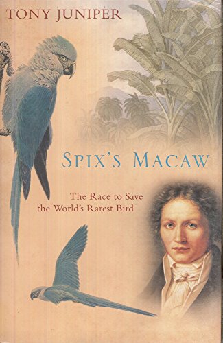 Beispielbild fr Spix's Macaw : The Race to Save the World's Rarest Bird zum Verkauf von Better World Books