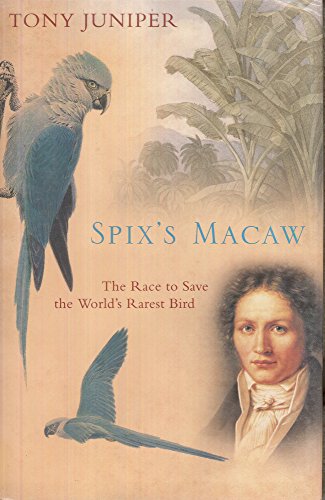 9780743475501: Spix's Macaw: The Race to Save the World's Rarest Bird