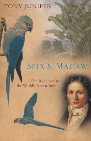 Stock image for Spix's Macaw : The Race to Save the World's Rarest Bird for sale by Better World Books
