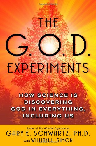 Beispielbild fr The G.O.D. Experiments: How Science Is Discovering God In Everything, Including Us zum Verkauf von Wonder Book