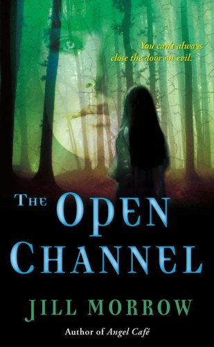 Stock image for The Open Channel for sale by HPB-Movies
