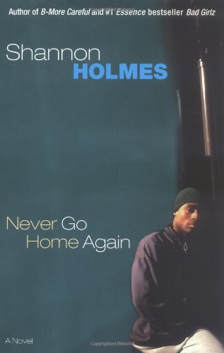Never Go Home Again: A Novel (9780743487832) by Holmes, Shannon