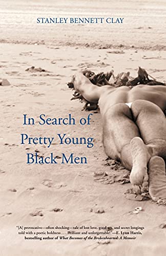 9780743497169: In Search of Pretty Young Black Men: A Novel
