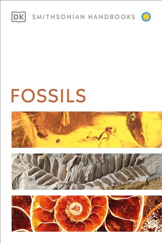 Imagen de archivo de Fossils a la venta por Revaluation Books