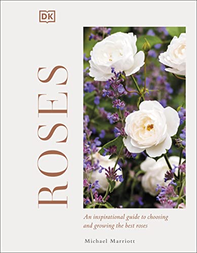 Stock image for Roses: An Inspirational Guide to Choosing and Growing the Best Roses for sale by HPB-Red
