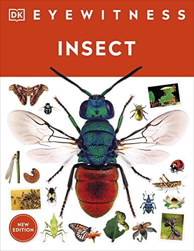 Imagen de archivo de Eyewitness Insect (DK Eyewitness) a la venta por GF Books, Inc.
