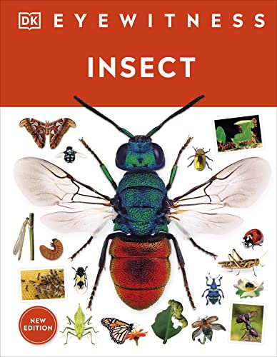 Imagen de archivo de Eyewitness Insect (DK Eyewitness) a la venta por GF Books, Inc.