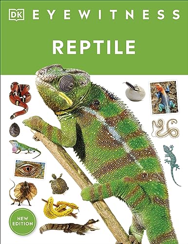 Imagen de archivo de Eyewitness Reptile a la venta por ThriftBooks-Dallas