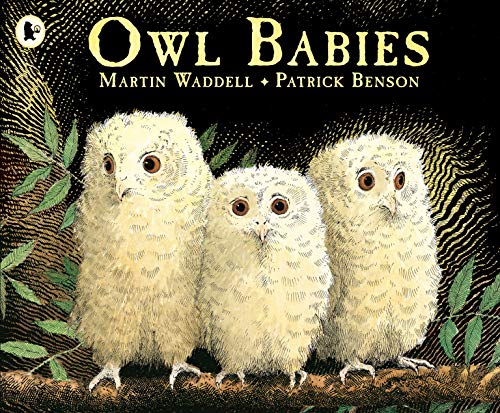 Stock image for Owl Babies for sale by ThriftBooks-Atlanta