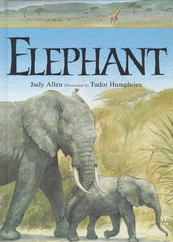 Beispielbild fr Elephant (Animals at Risk) zum Verkauf von WorldofBooks