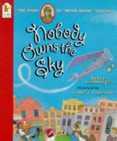 Beispielbild fr Nobody Owns the Sky zum Verkauf von AwesomeBooks