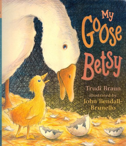 Imagen de archivo de My Goose Betsy (Read & Wonder) a la venta por MusicMagpie