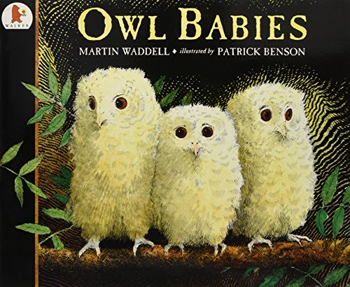 Beispielbild fr Owl Babies: 1 zum Verkauf von WorldofBooks