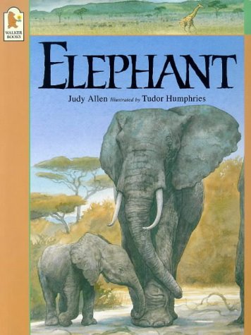 Beispielbild fr Elephant (Animals at Risk) zum Verkauf von WorldofBooks