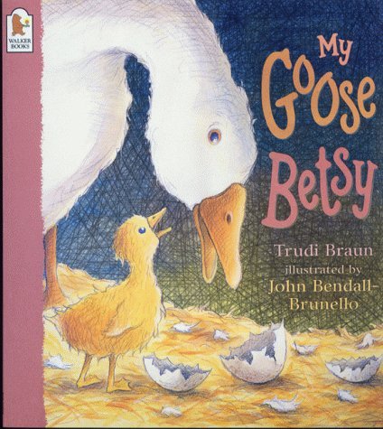 Stock image for My Goose Betsy for sale by AwesomeBooks