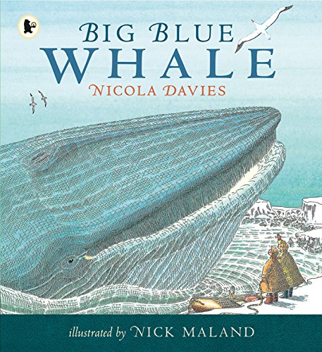 Imagen de archivo de Big Blue Whale a la venta por Blackwell's