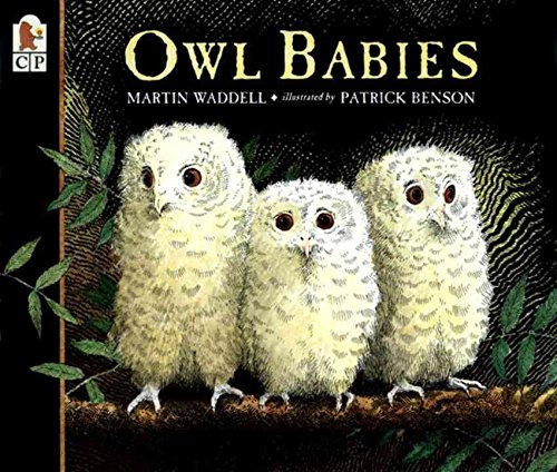 Imagen de archivo de Owl Babies (Little Favourites) a la venta por Goldstone Books