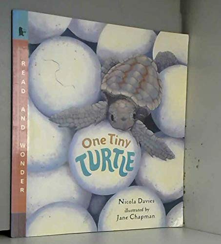 Stock image for One Tiny Turtle (Read & Wonder) for sale by WorldofBooks
