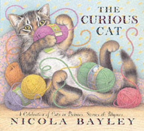 Beispielbild fr Curious Cat zum Verkauf von WorldofBooks