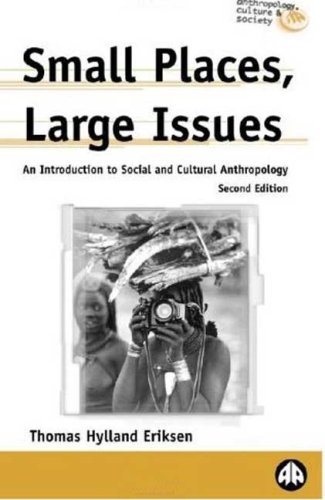 9780745317731: Small Places, Large Issues: An Introduction to Social and Cultural Anthropology (Anthropology, Culture and Society)