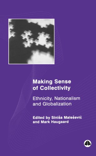 Imagen de archivo de Making Sense Of Collectivity: Ethnicity, Nationalism And Globalisation a la venta por Basi6 International