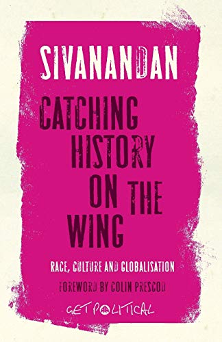 Imagen de archivo de Catching History on the Wing: Race, Culture and Globalisation: 03 (Get Political) a la venta por WorldofBooks