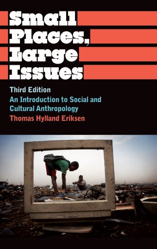 Stock image for Small Places, Large Issues: An Introduction to Social and Cultural Anthropology, Third Edition (Anthropology, Culture and Society) for sale by SecondSale