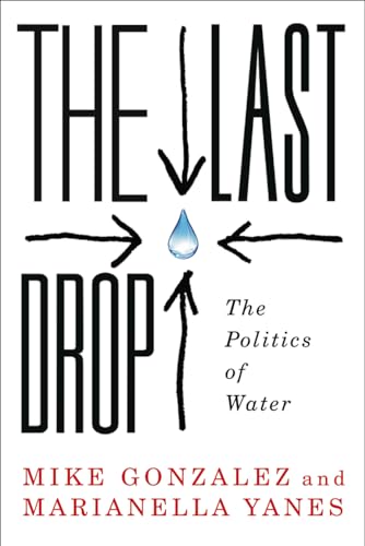 9780745334912: The Last Drop: The Politics of Water