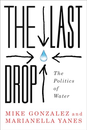 9780745334929: The Last Drop: The Politics of Water