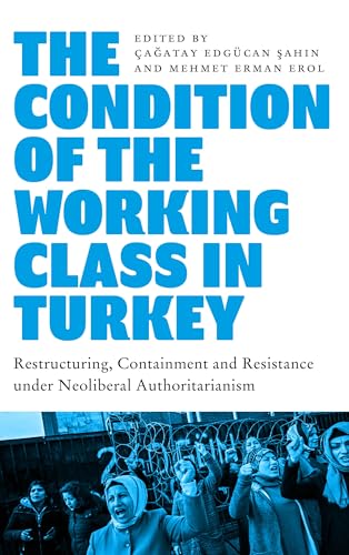 Imagen de archivo de The Condition of the Working Class in Turkey: Labour under Neoliberal Authoritarianism a la venta por Kennys Bookstore