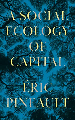 Beispielbild fr A Social Ecology of Capital zum Verkauf von Blackwell's