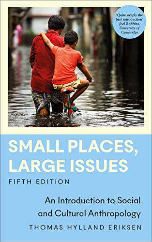 Stock image for Small Places, Large Issues: An Introduction to Social and Cultural Anthropology (Anthropology, Culture and Society) for sale by WorldofBooks