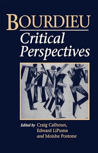 9780745611303: Bourdieu: Critical Perspectives