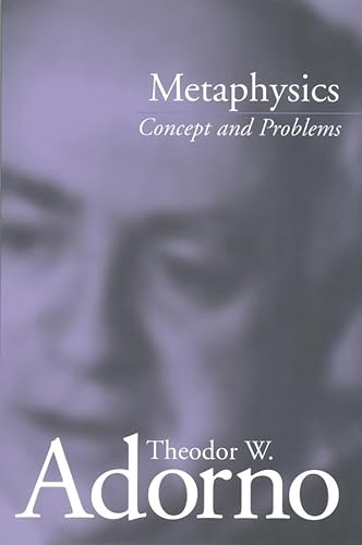 9780745622750: Metaphysics: Concept and Problems