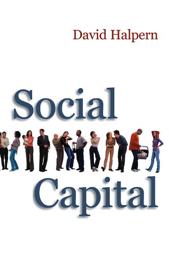 Stock image for Social Capital for sale by Blackwell's