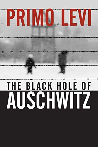 9780745632414: The Black Hole of Auschwitz