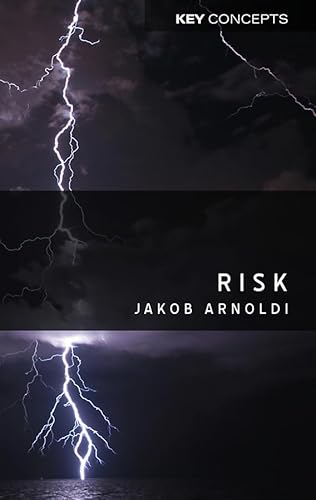 Imagen de archivo de Risk: An Introduction (Key Concepts) a la venta por WorldofBooks