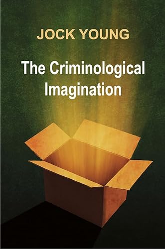 9780745641065: Criminological Imagination